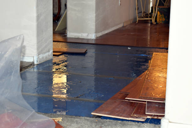 Professional Water Damage Restoration technician working in Minford, OH